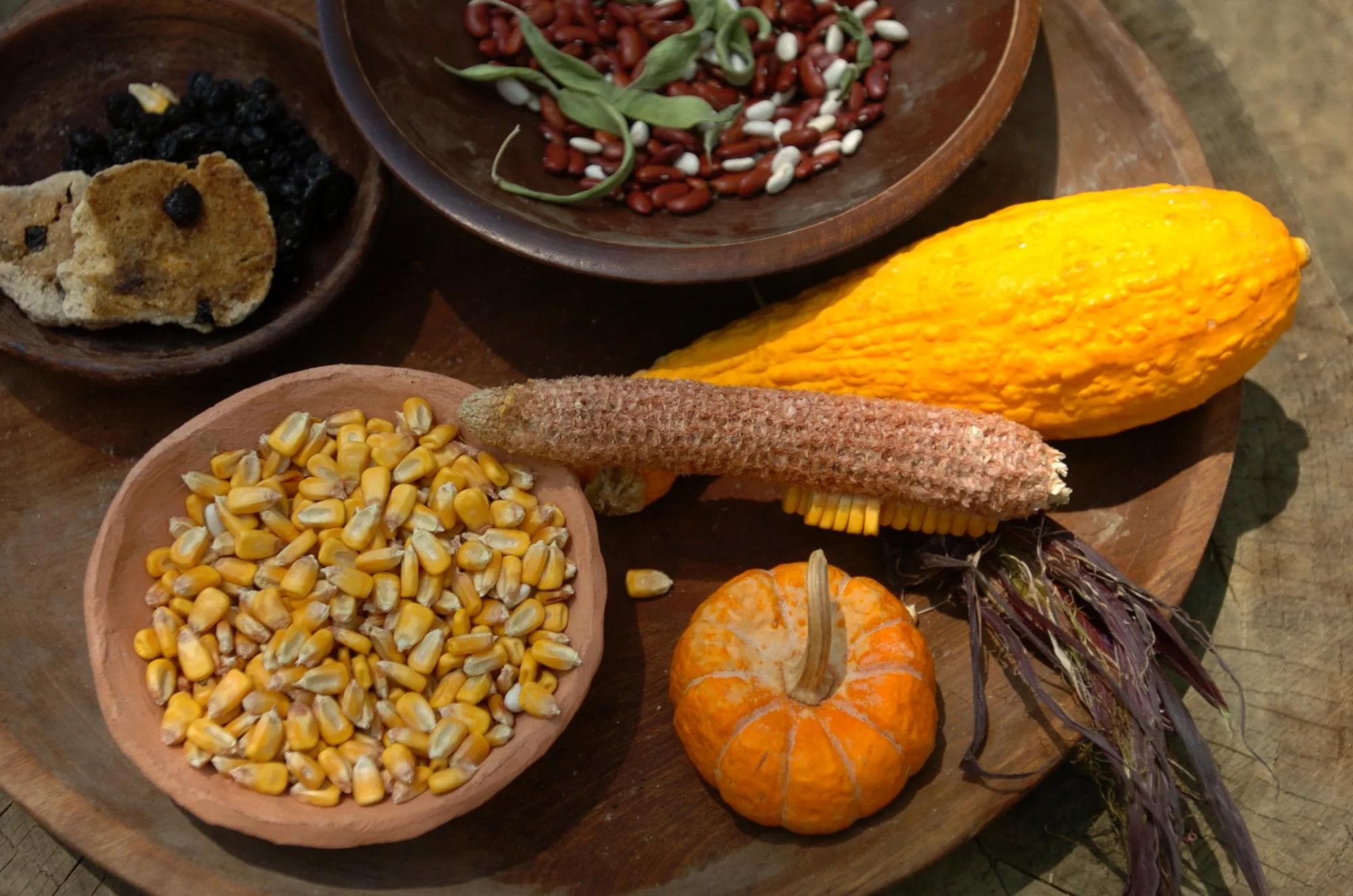 A platter displays corn, beans, and squash at harvest time.  