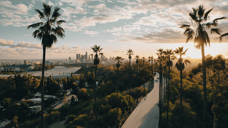 Palm Tree-Lined Street Overlooking Los Angeles at Sunset 