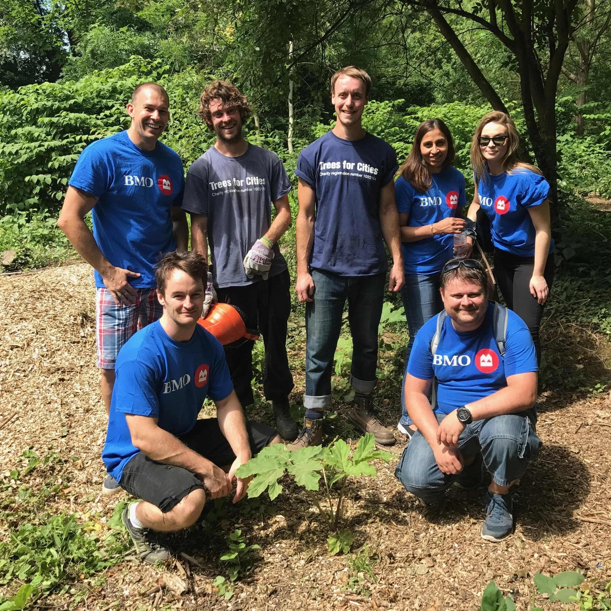 Employee giving volunteering