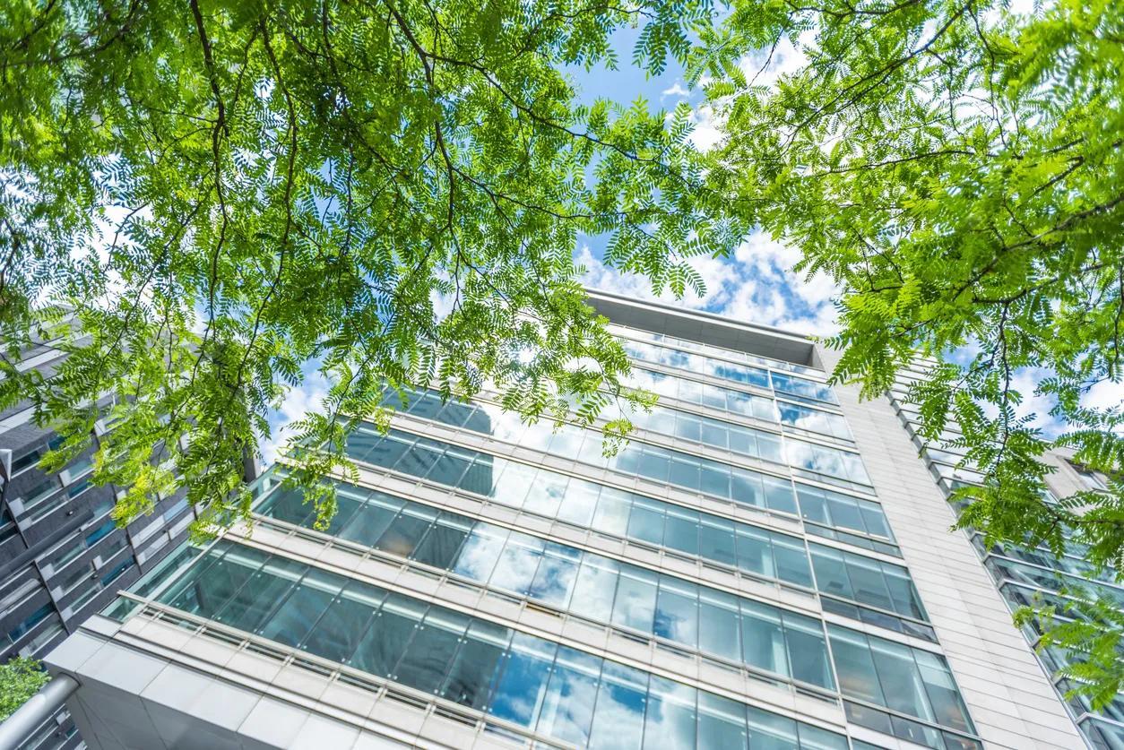 Office buildings seen in the background behind trees on a sunny day. 