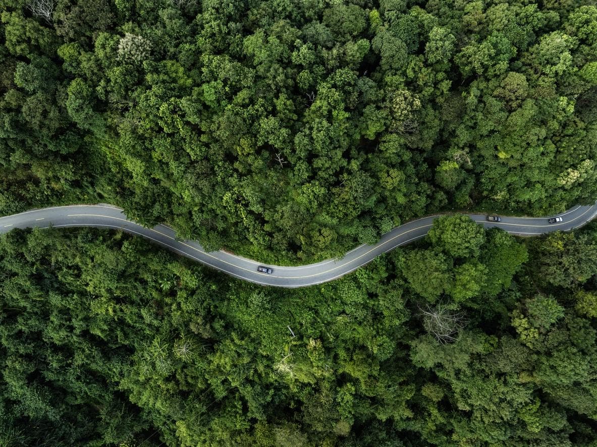 Aerial view of a road in the middle of the forest with green trees.