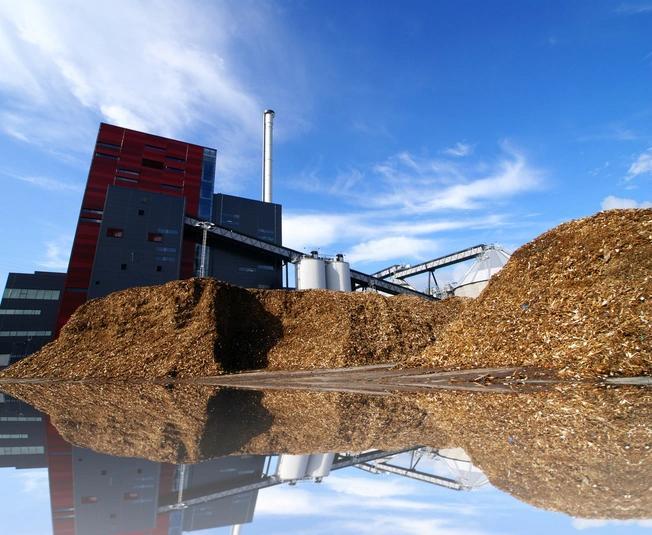 Piles of wooden fuel at a biomass plant set against a blue sky.