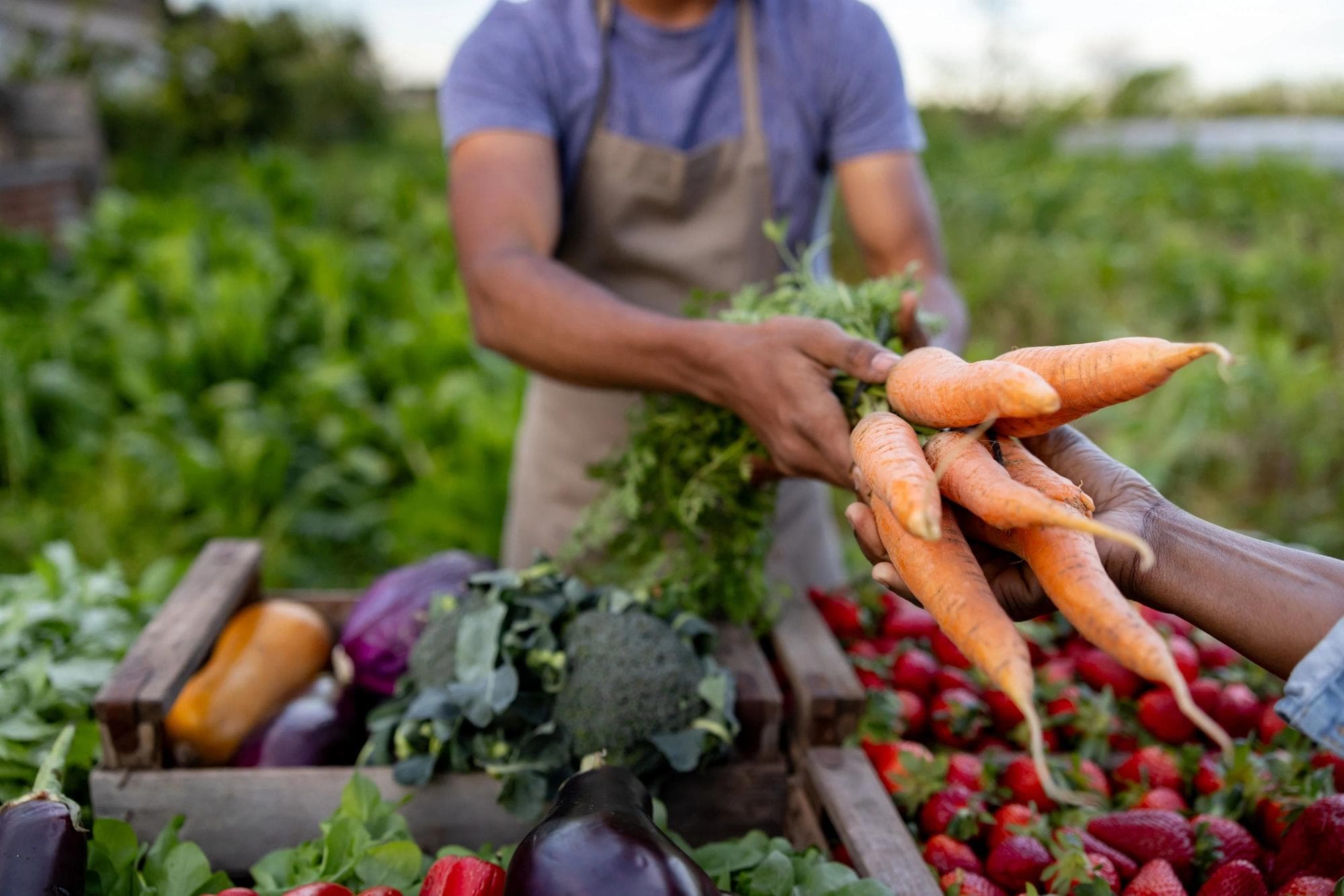 Man selling carrots at an outdoor market.        