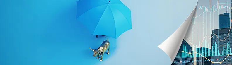 Magazine page flip: Gold bull under an umbrella 