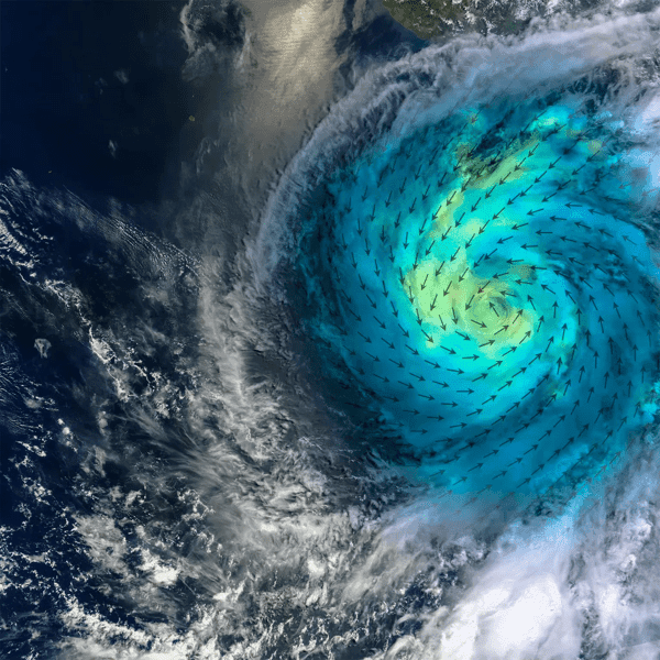Satellite image of a hurricane with a graphic overlay of a wind speed direction scheme. 