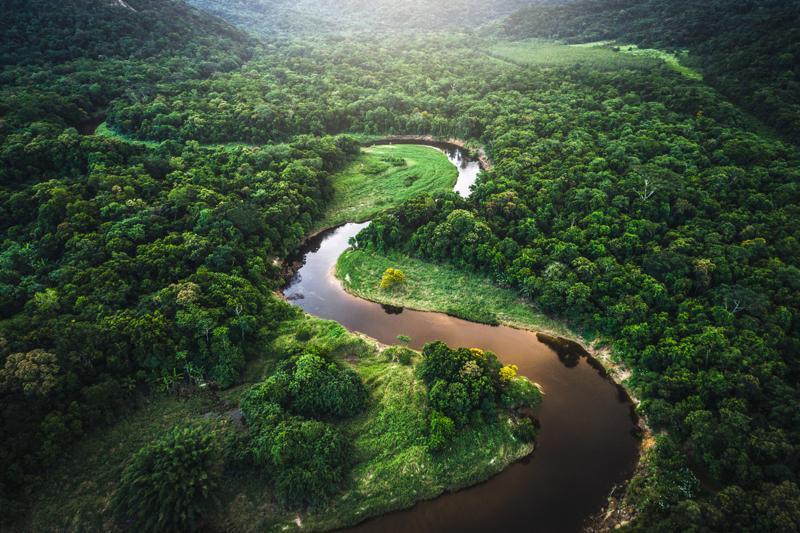 The Atlantic Forest and Amazon River in Brazil.  