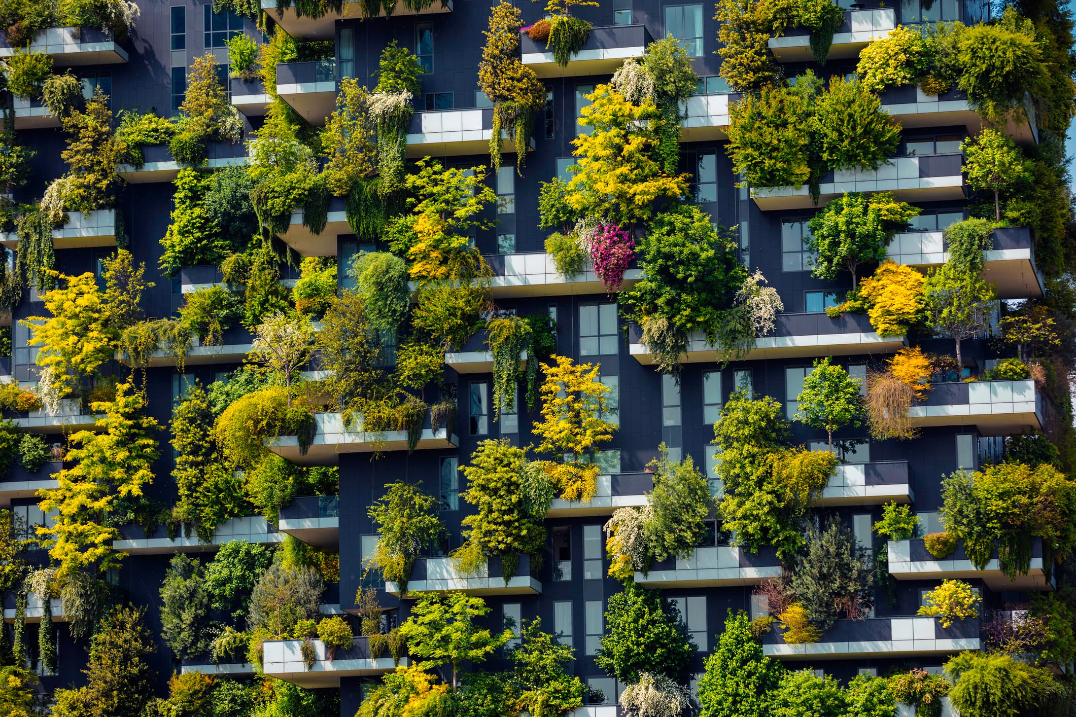 Vertical forest on skyscraper