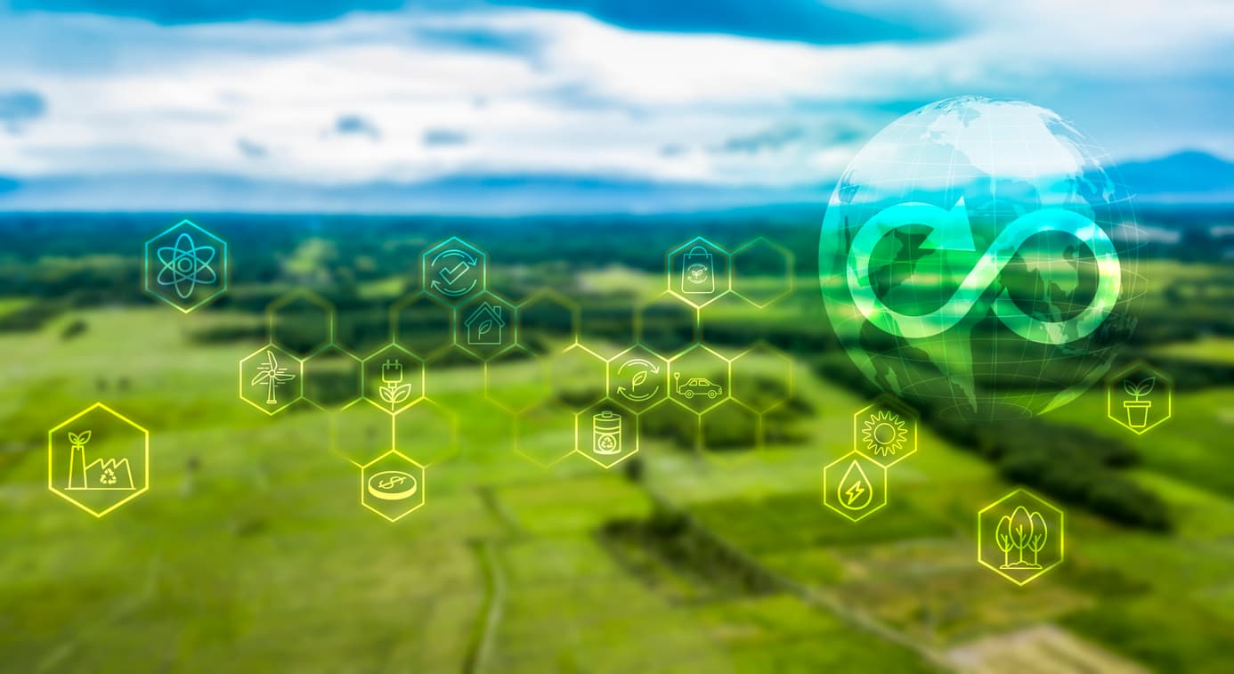 carbon market