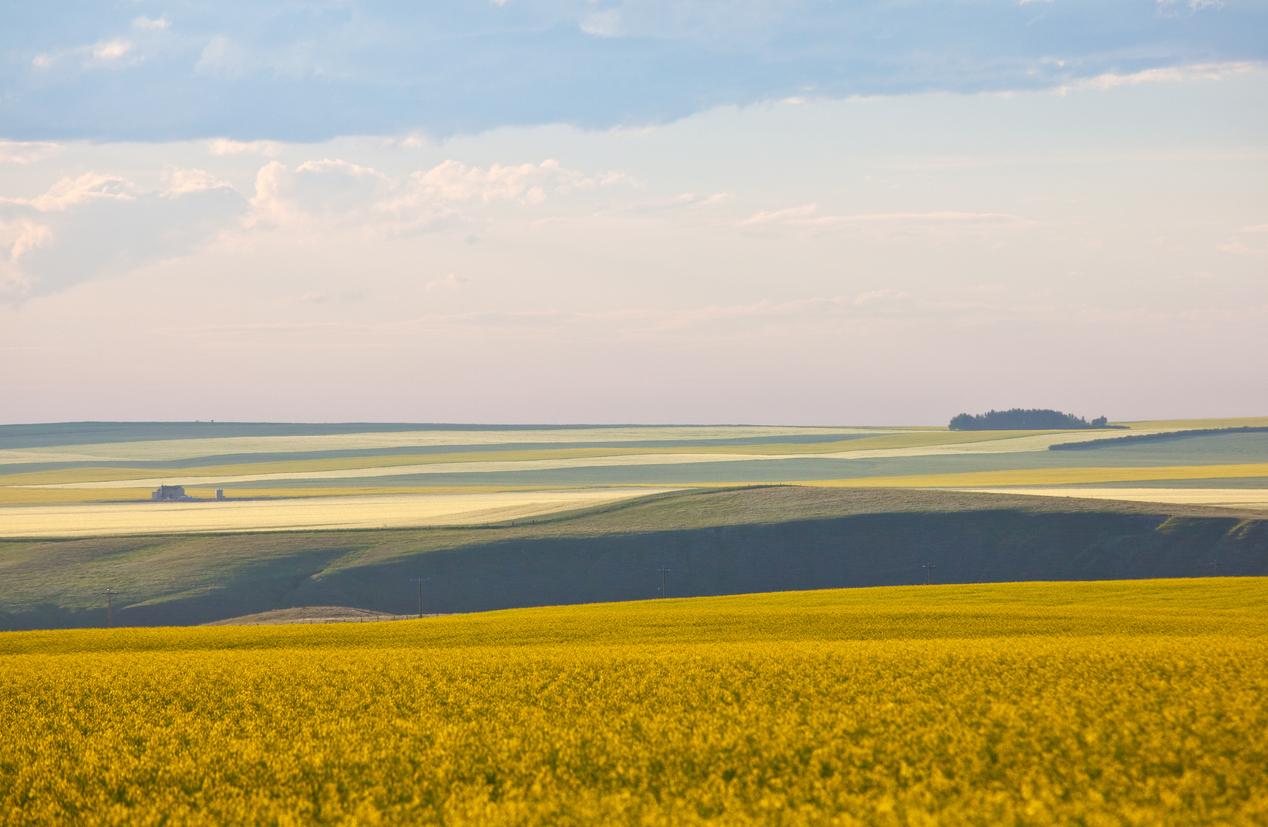 Alberta land