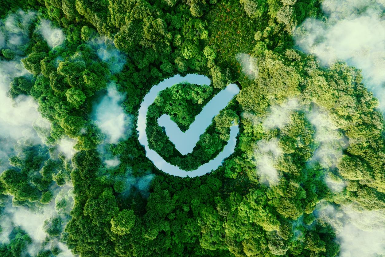 Nature positive concept