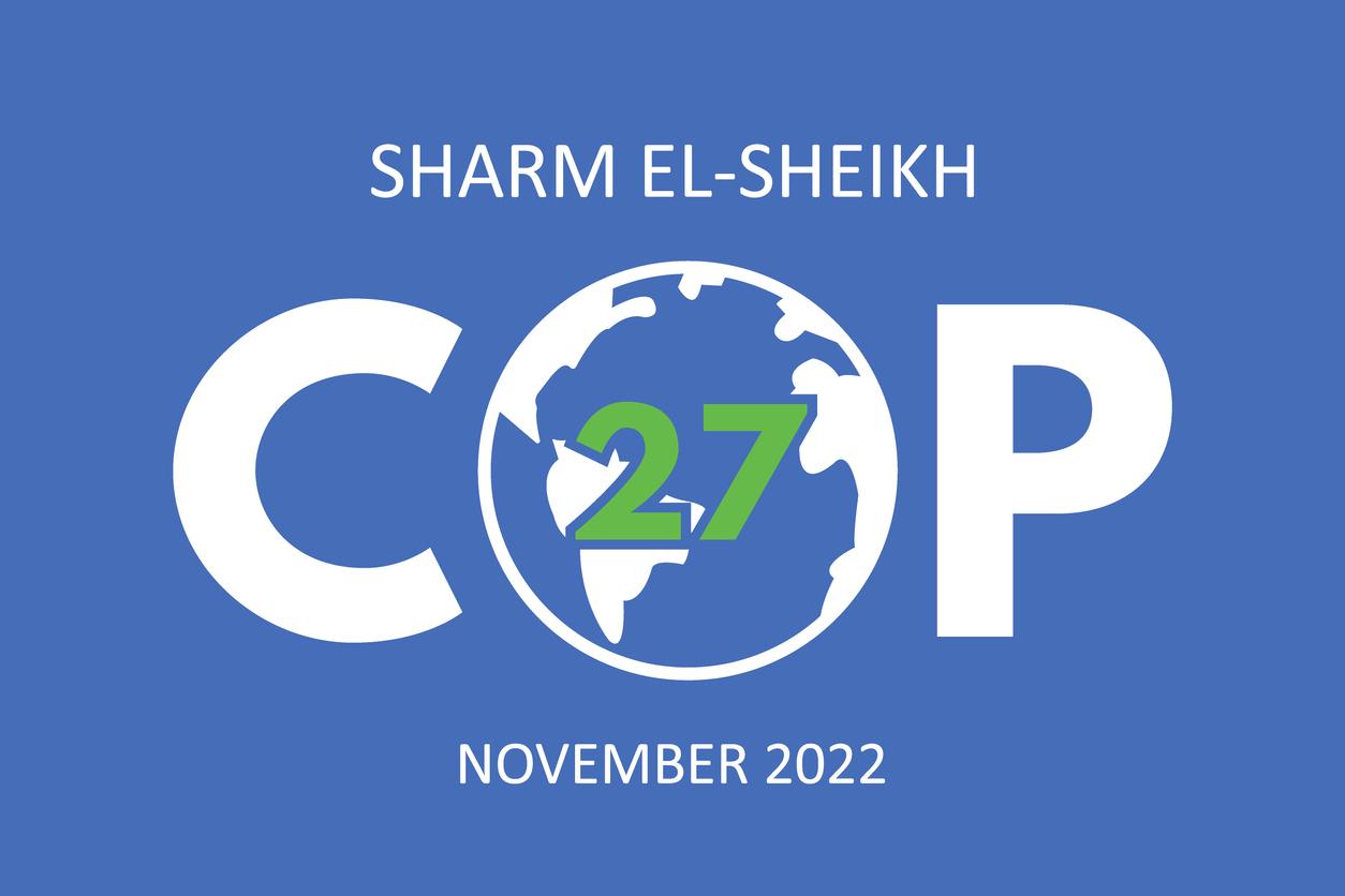 COP27