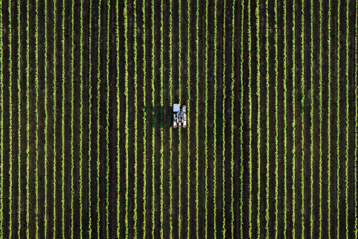 Agricultural harvesting