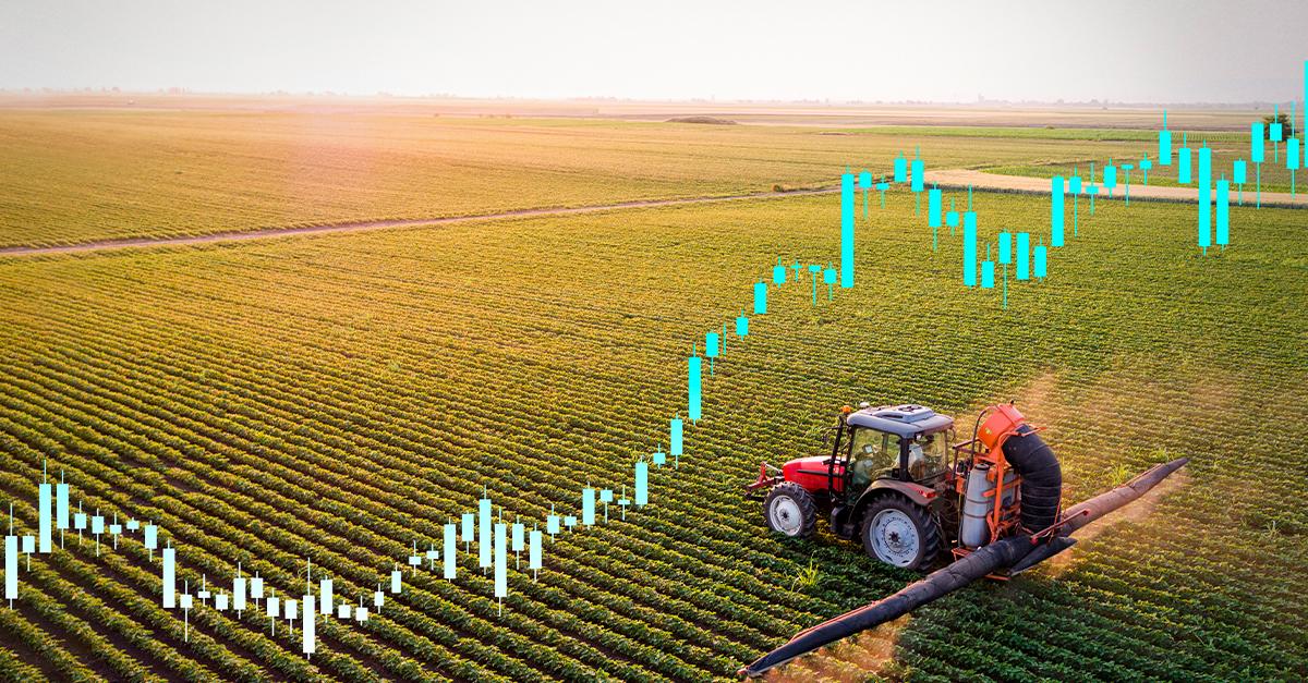 harvesting crops
