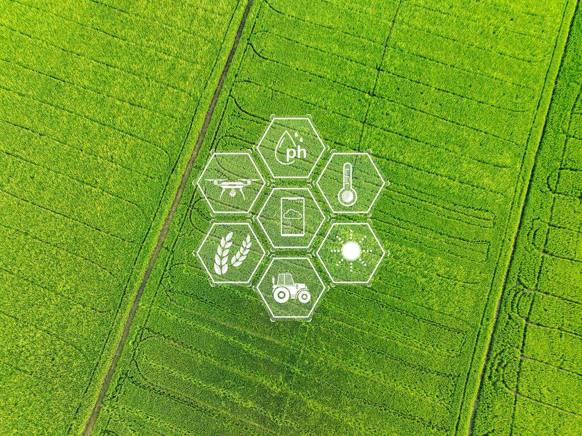 Sustainable food concept