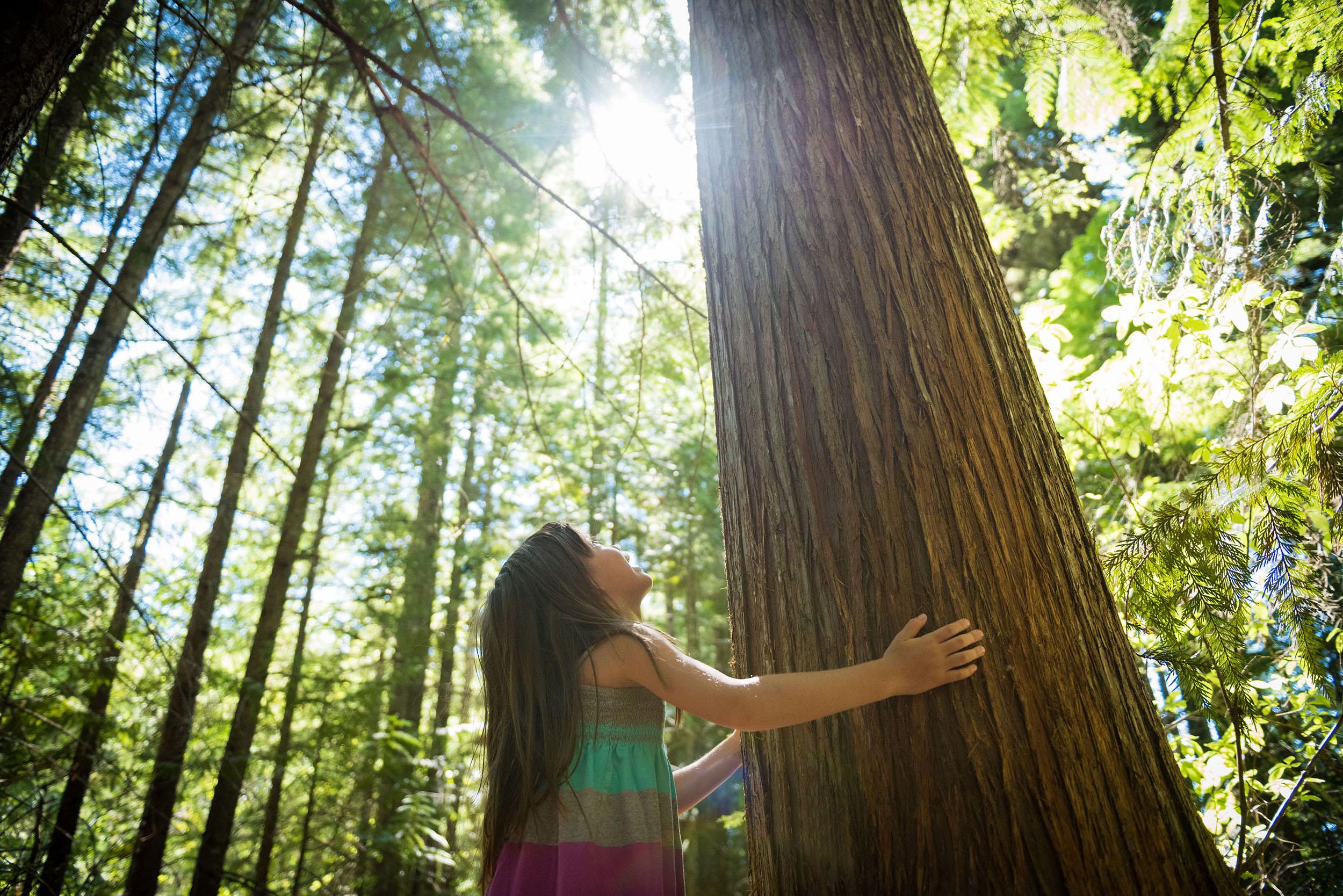 child in forest