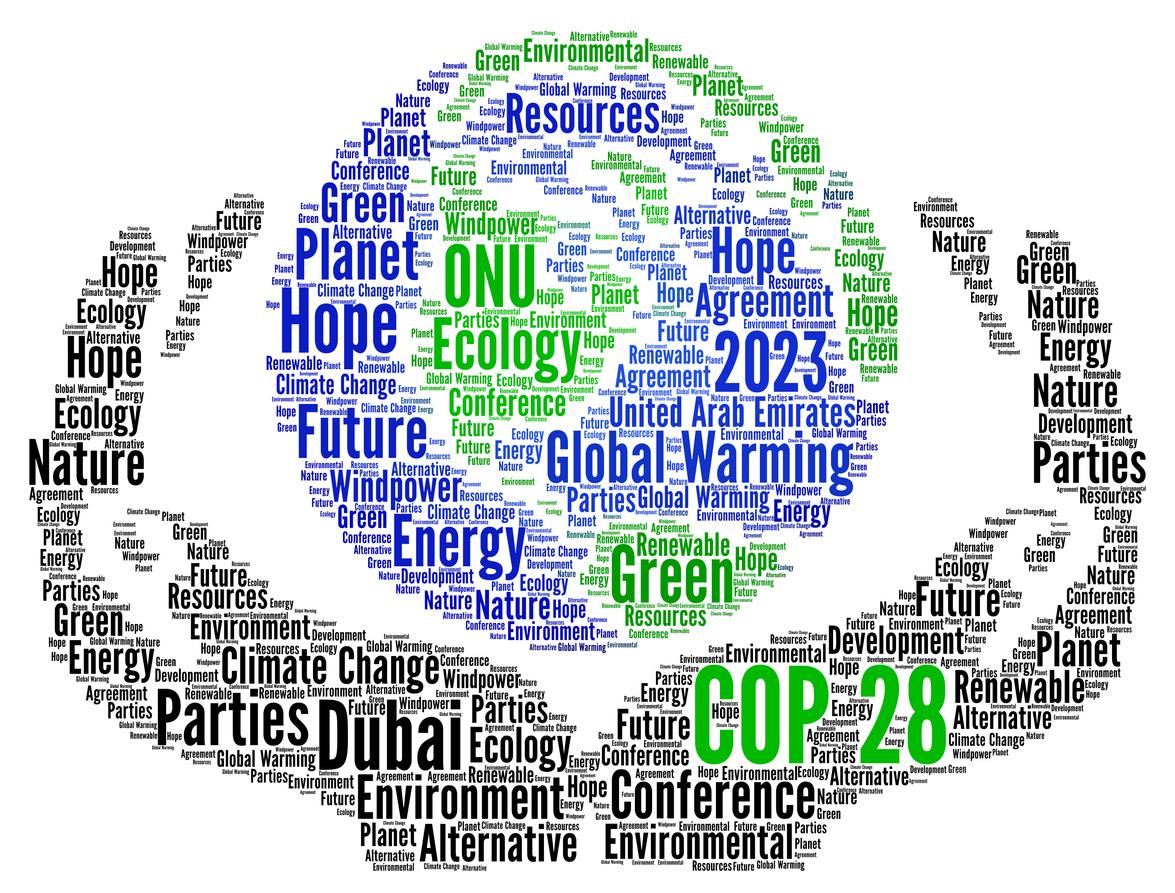 COP28 icon