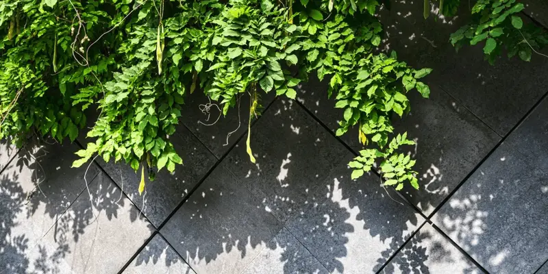 Plants growing over cement blocks