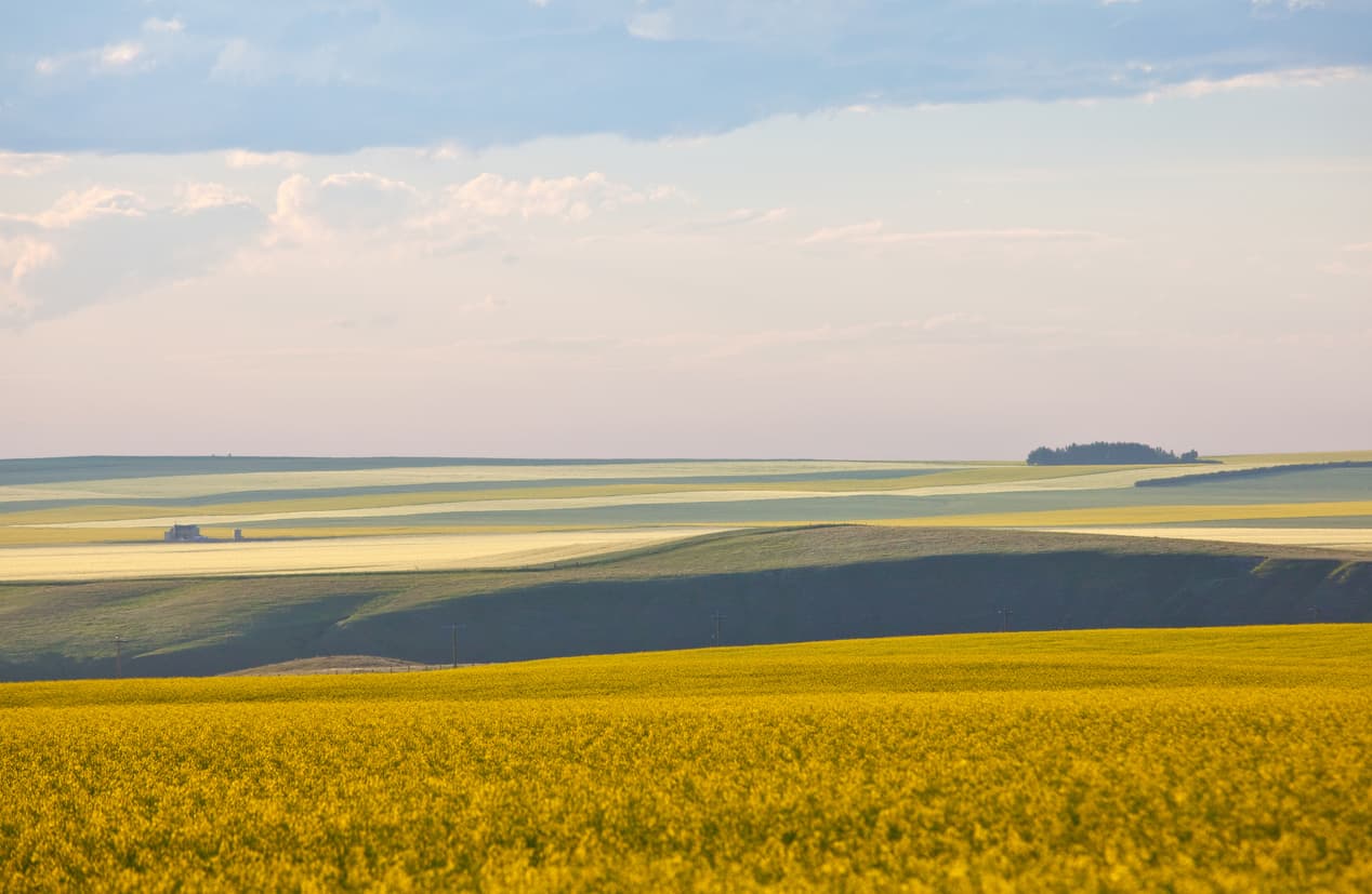 Alberta land