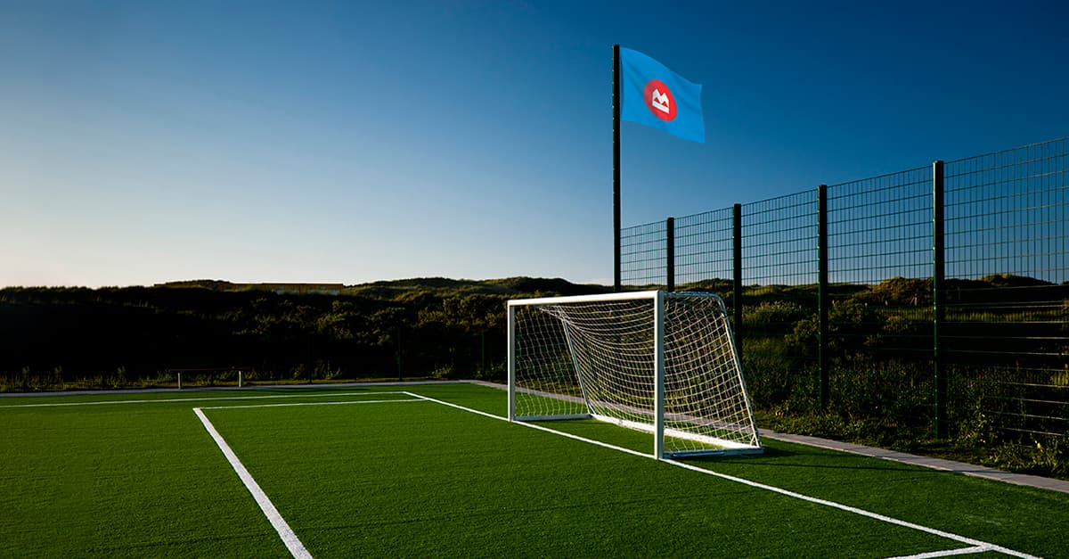 Soccer net