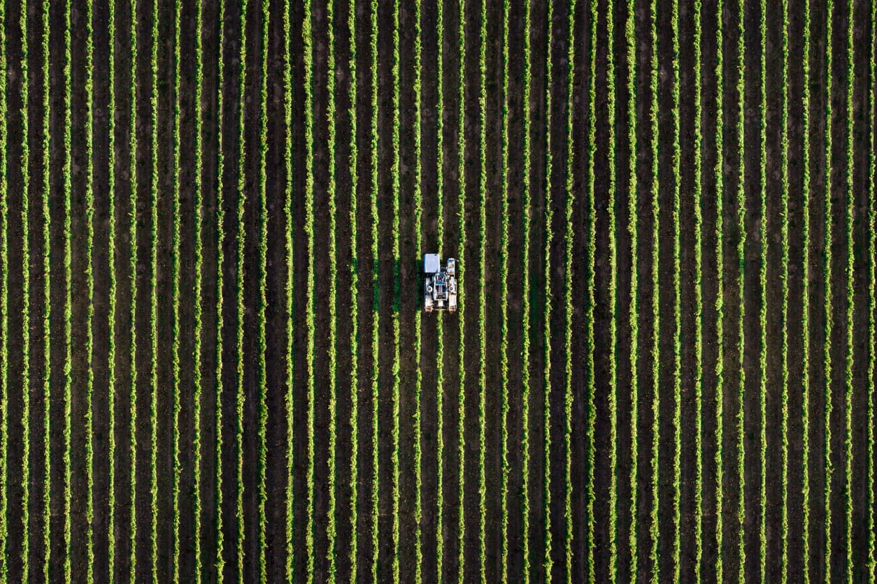 Agricultural harvesting