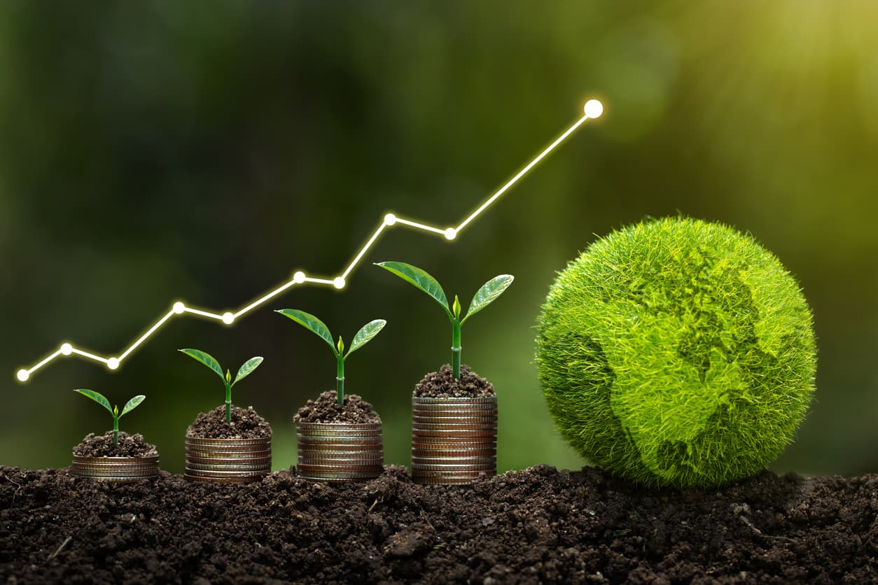 plants grow on stacked coins