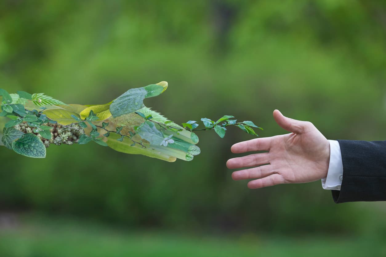 Nature and business working together