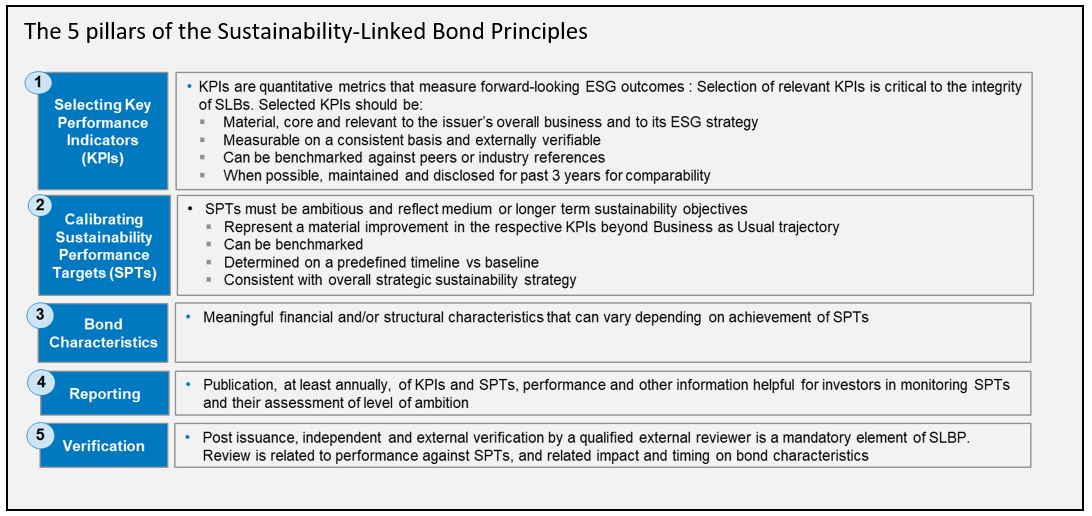 The 5 Pillars of the Sustainability-Linked Bond Principles