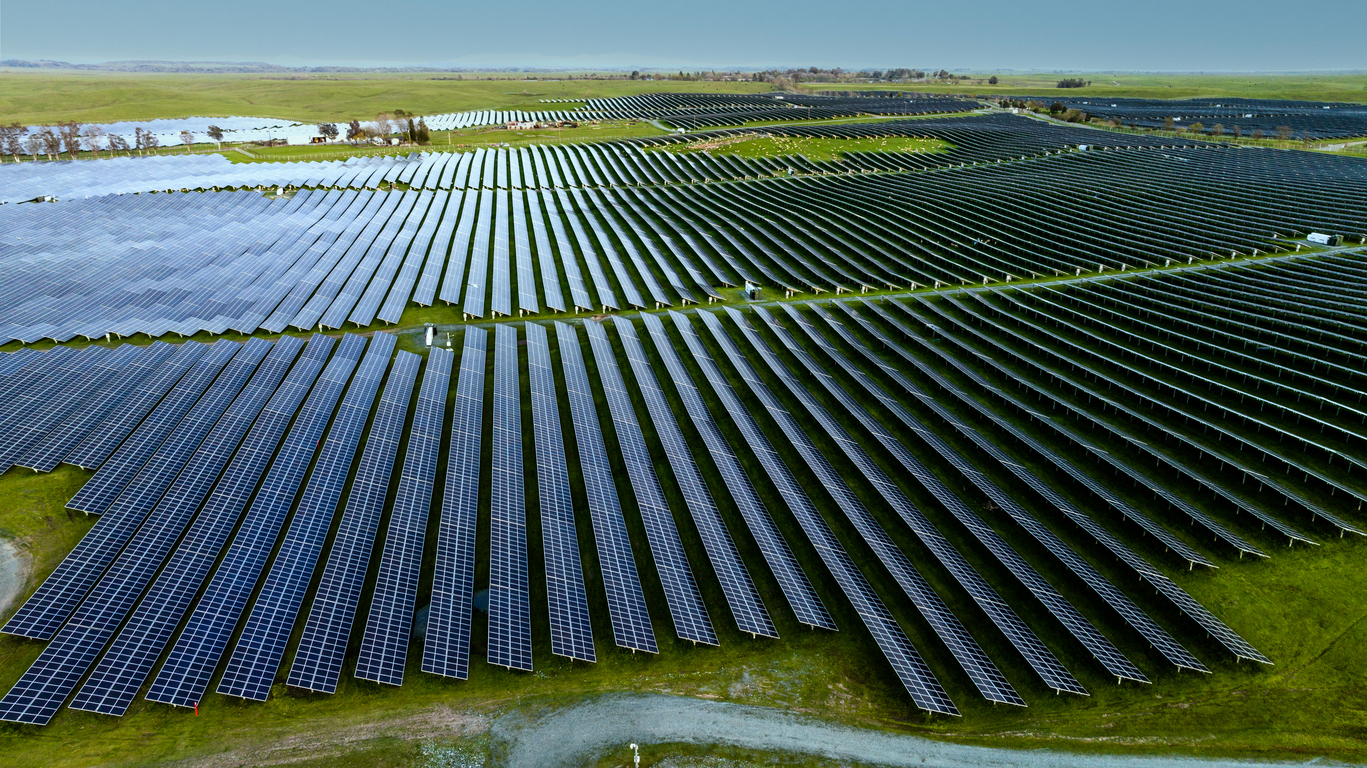 a solar farm