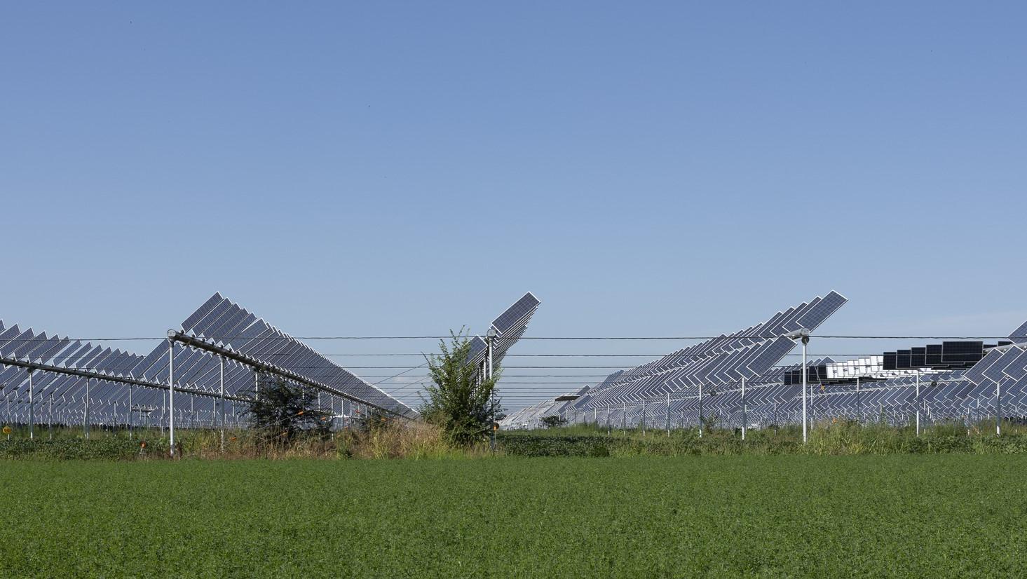 A solar photovoltaic system positioned above land used for agriculture.