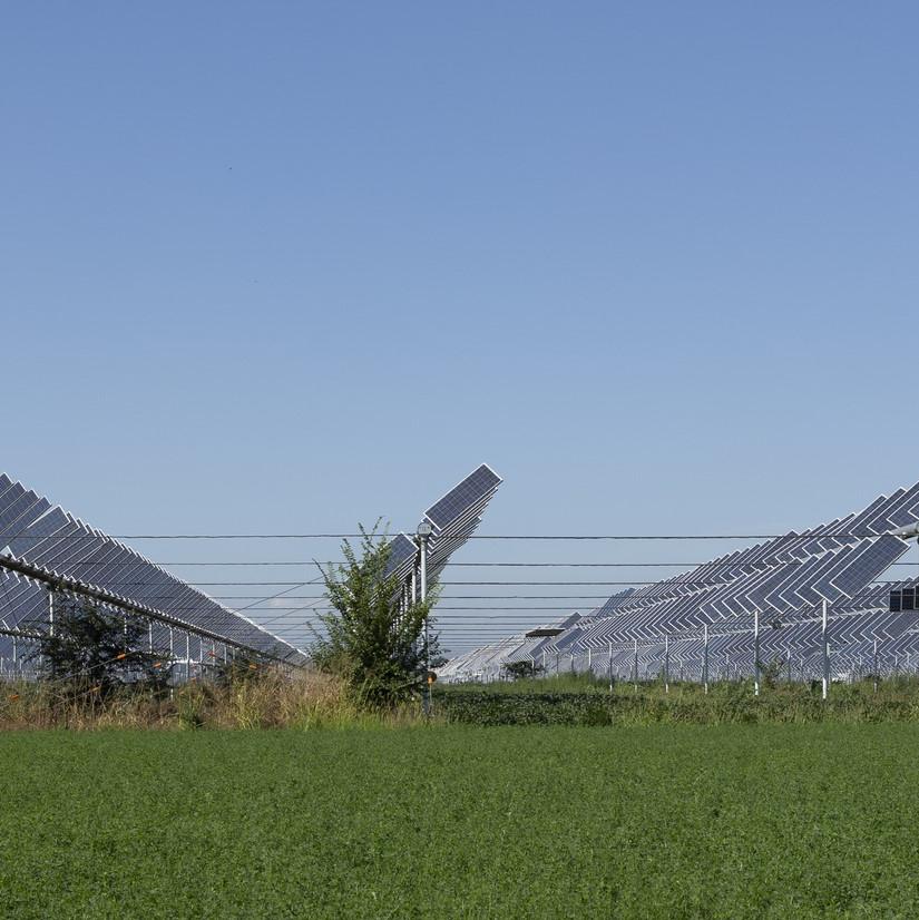 A solar photovoltaic system positioned above land used for agriculture.