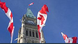 Canadian flags