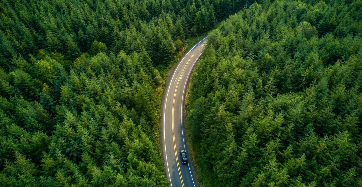 Path to credit development at BMO